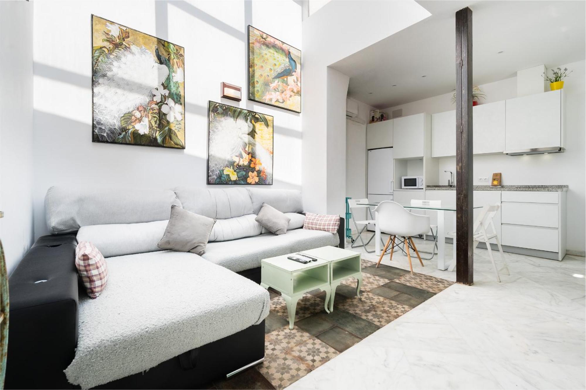 Appartement Penthouse Con Terraza- 2d 2b- Triana *